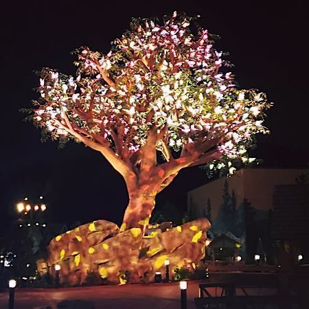 Chauvet WildwoodGrove 1