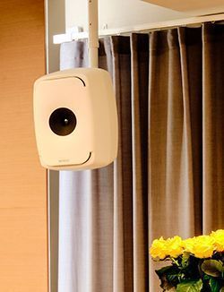 Genelec Castren Snellman 1