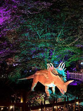 ADJ World Of Dinosaurs Safari Scotland 3