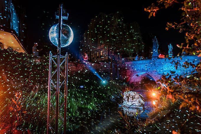 Astera Bergstrasse Leuchtet Heppenheim GVO MEDIA 2