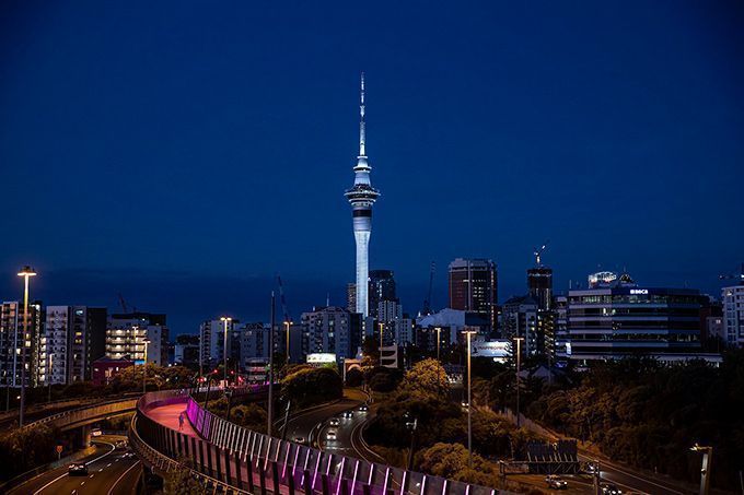 Anolis Auckland Sky Tower 1