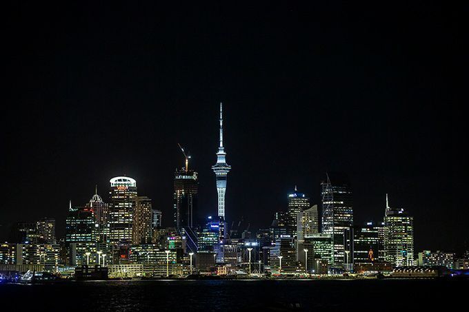 Anolis Auckland Sky Tower 2