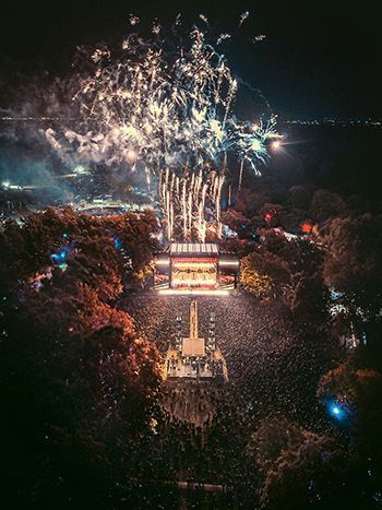 L Acoustics DWP 2