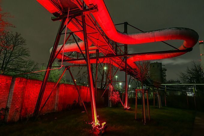 Anolis DARK MATTER Berlin 2