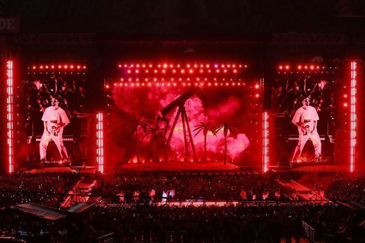 Bad Bunny Elation 2 HI