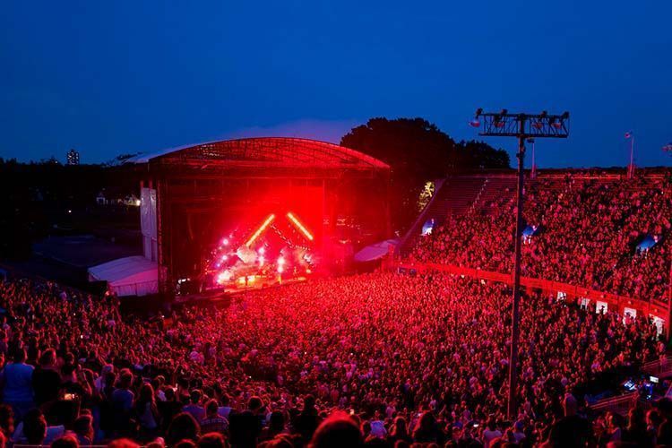 Elation Queens Stone Age 2 HI