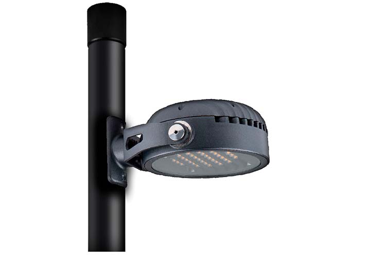 Anolis PS Calumma Street optics 4 HI