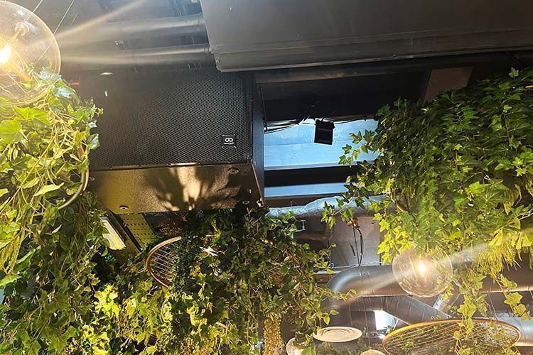 Optimal Audio Boutica 6 HI