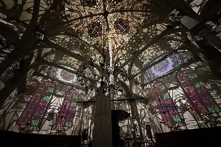 Digital Projection VanGogh 3 HI