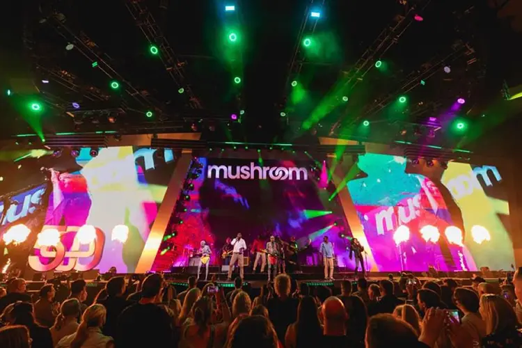 CP Mushroom 1 HI