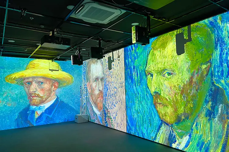 Vioso Van Gogh 6 HI