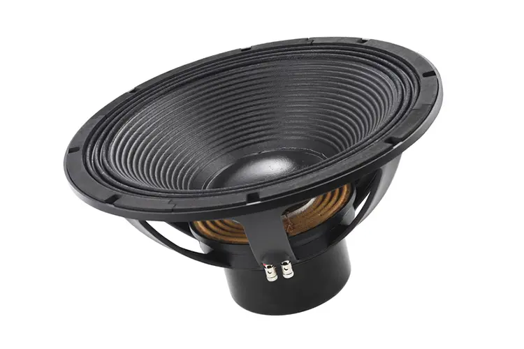 Celestion driver 2 HI
