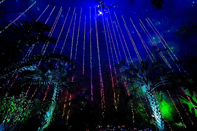Chauvet EdenProject 2 HI