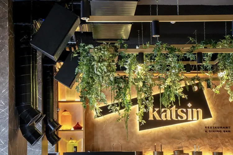 Katsin Rest 2 HI
