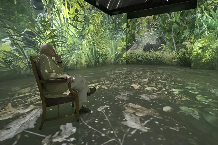 Hive David Attenborough 3 HI