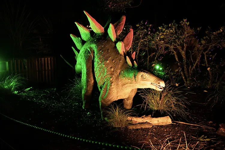 highlite zoo 2 HI