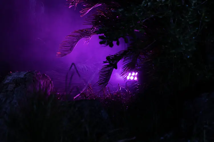 highlite zoo 6 HI