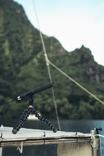 Sennheiser Thomas 3 HI