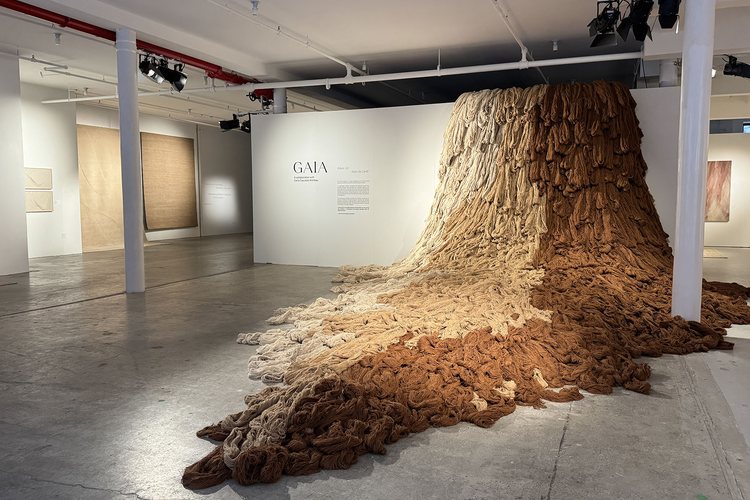 gaia exhibition 750w 100dpi