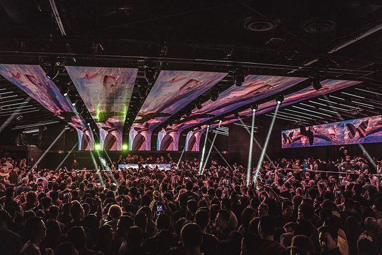Academy club 3 HI