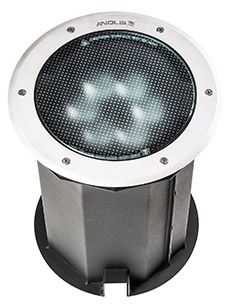 Anolis bISE 2019ArcSource cInground 24MC Integral