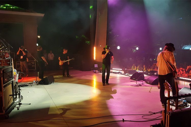 foster postada750x500