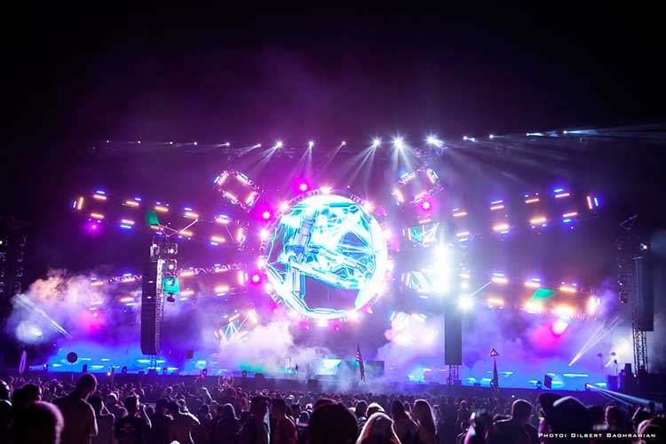 nocturnal wonderland 1