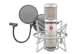 SE electronics